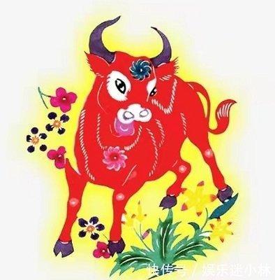 属牛人2025年5月份运势运程如何 什么运最好