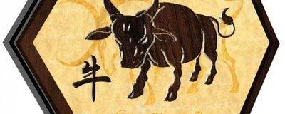 属牛人一生命运解析 几月生的属牛人好