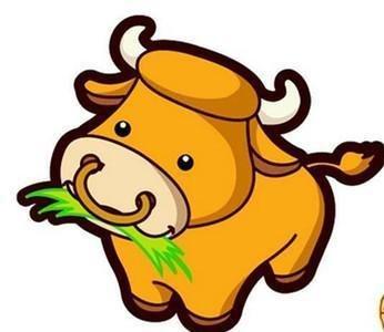 属牛人佩戴什么招财 这些饰品可以带来财运