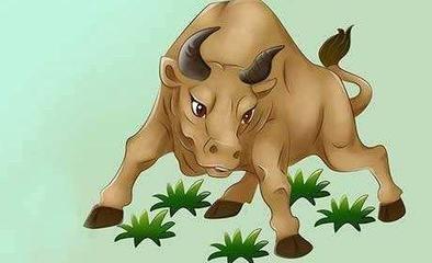 属牛人命里的贵人 事业贵人又是谁呢