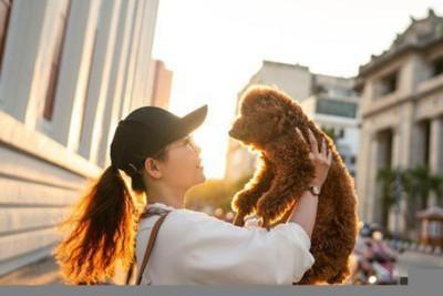 属猴人的婚姻怎么维持 婚姻保鲜的方法