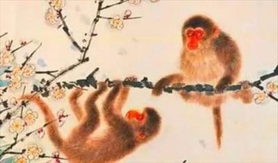 属猴人的婚姻怎么维持 婚姻保鲜的方法