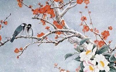属牛人哪一月份出生命最好 几月份出生的属牛人好