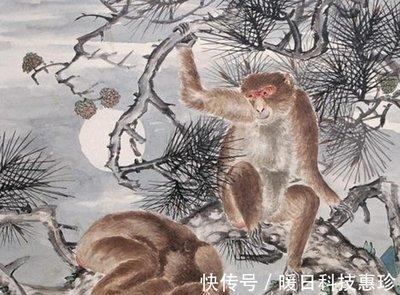 属猴人适合买房的楼层，属猴人什么楼层风水好