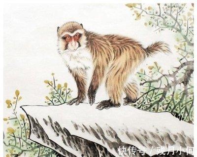 属猴农历四月出生的人 属猴人是一个好相处的人吗