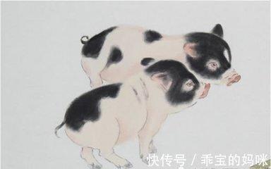 寿命长的是什么生肖 会长寿的生肖
