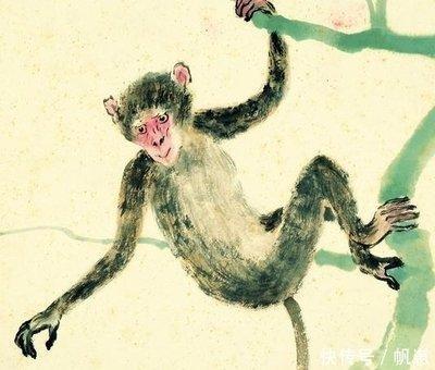 属猴几月出生最好命运 哪些月份出生的生肖猴有好运 属猴几月出生最好命运 哪些月份出生的生肖猴有好运