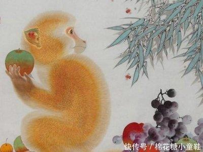 属猴几月出生最好命运 哪些月份出生的生肖猴有好运 属猴几月出生最好命运 哪些月份出生的生肖猴有好运