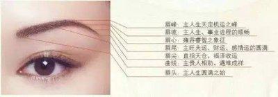 寿命长的面相谈眉毛和寿命有关系吗