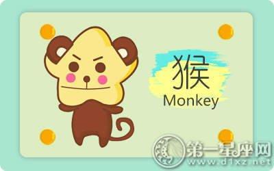 属猴到底是怎样一个人 你真的了解属猴男吗