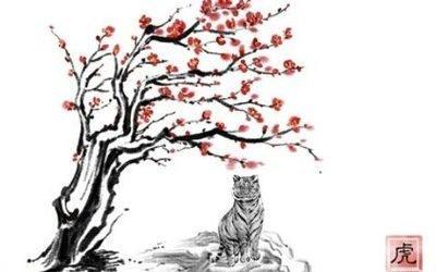 属猴可以佩戴什么最旺运 这些饰品帮助属猴人招财