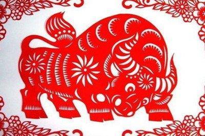 属牛农历十二月出生的性格和命运如何