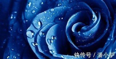 属猴和属鸡适合在一起做夫妻吗能不能幸福