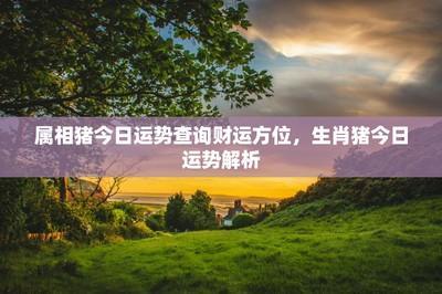 属猴和属鸡适合在一起做夫妻吗能不能幸福