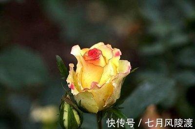 射手座喜欢做哪些事情 做什么最开心
