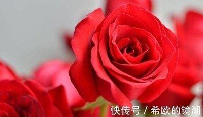 属猴娶属蛇的人怎么样 这对组合合吗