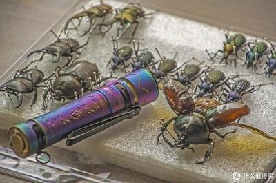 属猴生肖2025年的运势 属猴人在蛇年运气怎样
