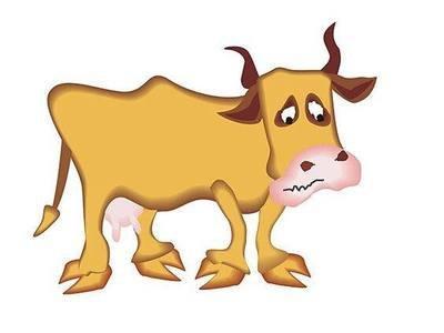 属牛如何才能让明年的生活更加顺利