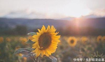 属猴男遇到喜欢的人怎么追 怎么追到自己心上人