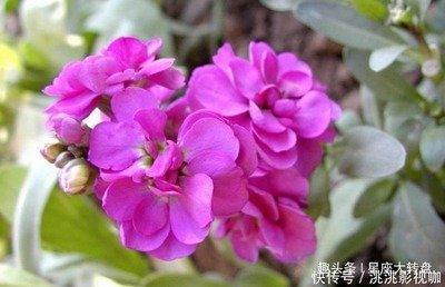 属牛男人不爱你的表现 不爱你还会对你好吗