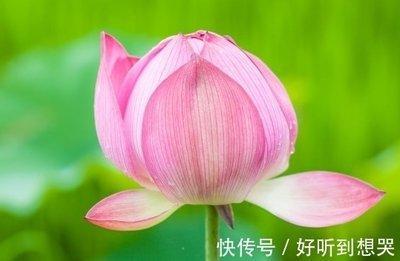属猴的人2025年桃花运是否旺盛需要注意什么