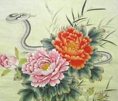 属牛男和属虎女会长久么 婚姻能不能白头偕老
