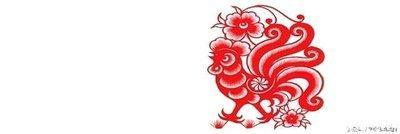 属牛男和属虎女相配吗(属牛女的和属龙男的相配吗)