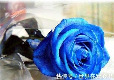属猴的人命好吗 蛇年出生的人真的苦吗