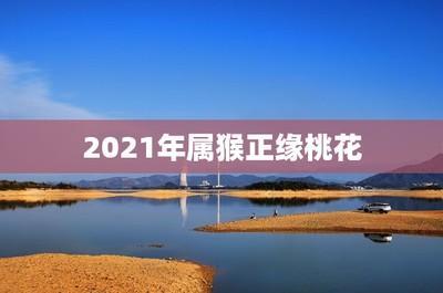 属猴的人在2025年几月份中有着出色的桃花运