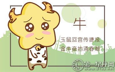 属牛男让人看不顺眼的表现有哪些
