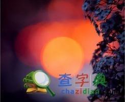 属牛的2025年幸运色 忌讳色是什么