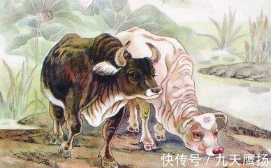 属牛的2025年有贵人相助吗 事业成功爱情美满