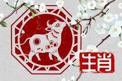 属牛的一生有几次婚姻 对于属牛人来说婚姻如何