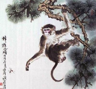 属猴的今年多大了 今年属猴的财运和运气怎么样