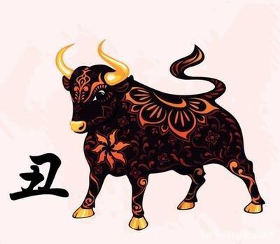 属牛的人2025年运势及下半年运程