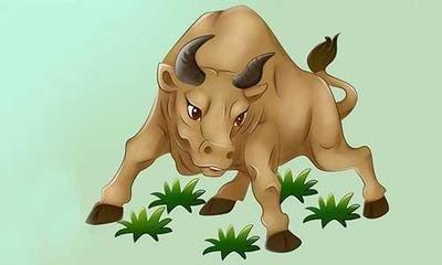 属牛的人在2025年中有着怎样的运势变化