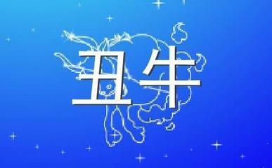 属牛的人如何改善自己在2025年中的财运