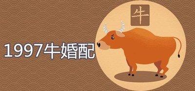 属牛的人婚配属相最好是谁 结婚应该选择什么属相