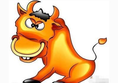 属牛的人明年应该注意哪些方面问题为什么