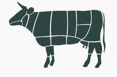 属牛的人有什么性格特点 属牛人性格详细分析