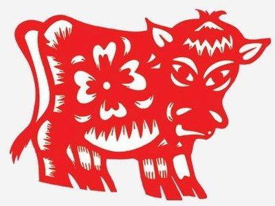属牛的人进入2025年之后如何应对命犯太岁