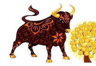 属牛的今年多大2025年 属牛的2025年几岁了 属牛的今年多大2025年 属牛的2025年几岁了