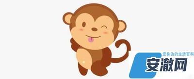 属猴的最忌哪个月出生 什么月份出生的属猴人命不好