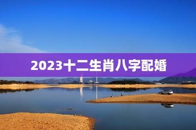 属牛的和什么属相最配 哪几个生肖的人很配属牛人
