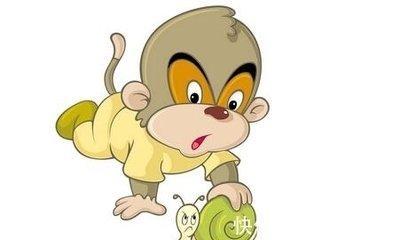 属猴遇什么生肖好 属猴人的贵人有哪些