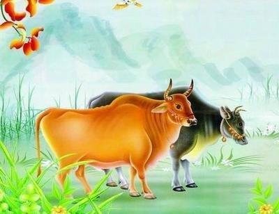 属牛的忌几月出生 哪些月份出生的属牛人命最不好
