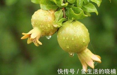 属牛的男人花心吗 专一认真的好男人 属牛的男人花心吗 专一认真的好男人