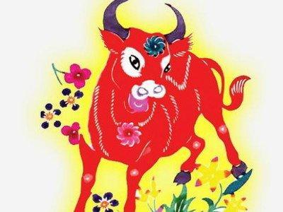 属牛的老人要如何在2025年中化解太岁霉运