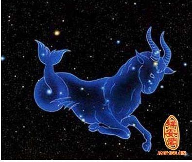 小乖麻2025年12星座运势精华版