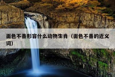 属牛给人印象好不好 善良老实最适合形容他们